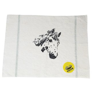 HAAS Cleaning Cloth