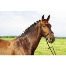 Amber bridle &quot;German Riding&quot; Duo