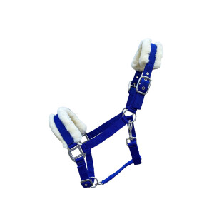 Halter "Teddy" royal blue Pony