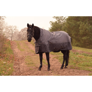 Turnout Collection Rain plum 165 cm
