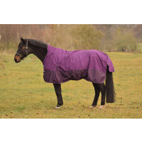 Turnout Collection Rain plum 165 cm