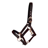 Halter "Glossy Design" Pony black