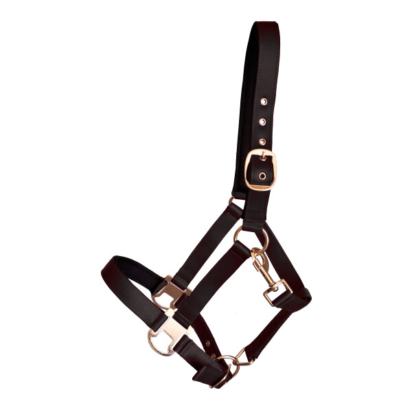 Halter "Glossy Design" Cob black