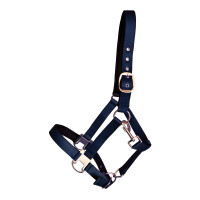 Halter "Glossy Design" Cob