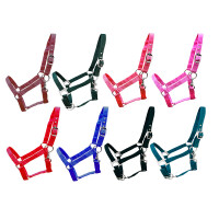 Kunststoffhalfter "Basic" Shetty pink