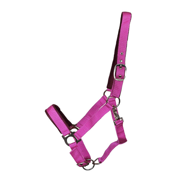 Halter Basic "Paddy" Cob pink