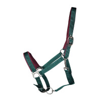 Halter Basic "Paddy" Cob green