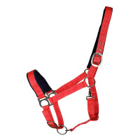 Halter Basic "Paddy" Cob red