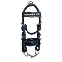 Mini bridle Silver